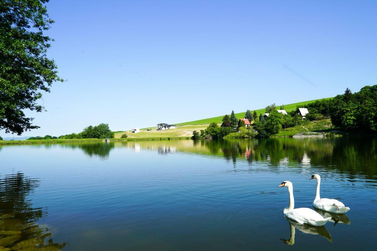 Luxury Villa Moravany nad Váhom Zewnętrze zdjęcie